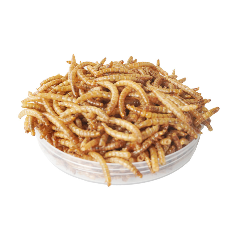 Snacks de Alta Proteína para H - Food And Snacks High In Protein reseña y precio